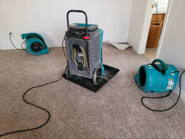 Best Sewage cleanup and water damage restoration  in New Hope, MS