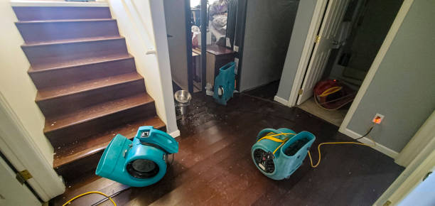 Best Local water damage restoration  in New Hope, MS