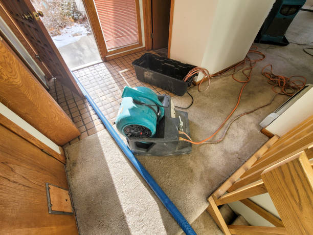 Best Sewage cleanup and water damage restoration  in New Hope, MS