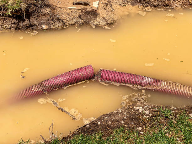 Trusted New Hope, MS Water damage restoration Experts